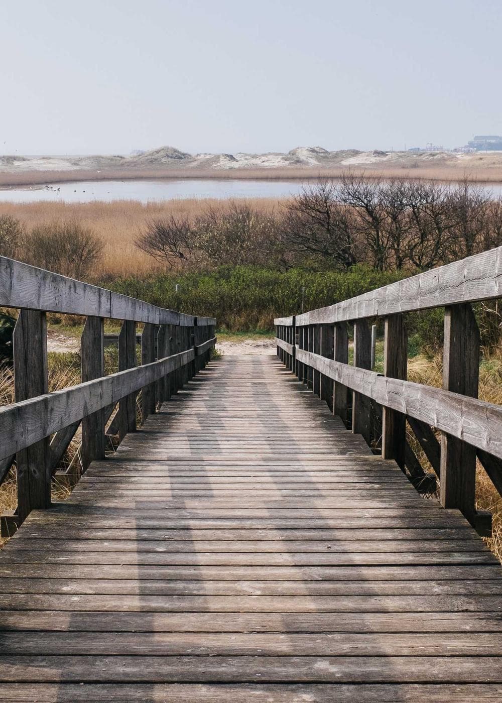 Sample Gallery 1 – image 1