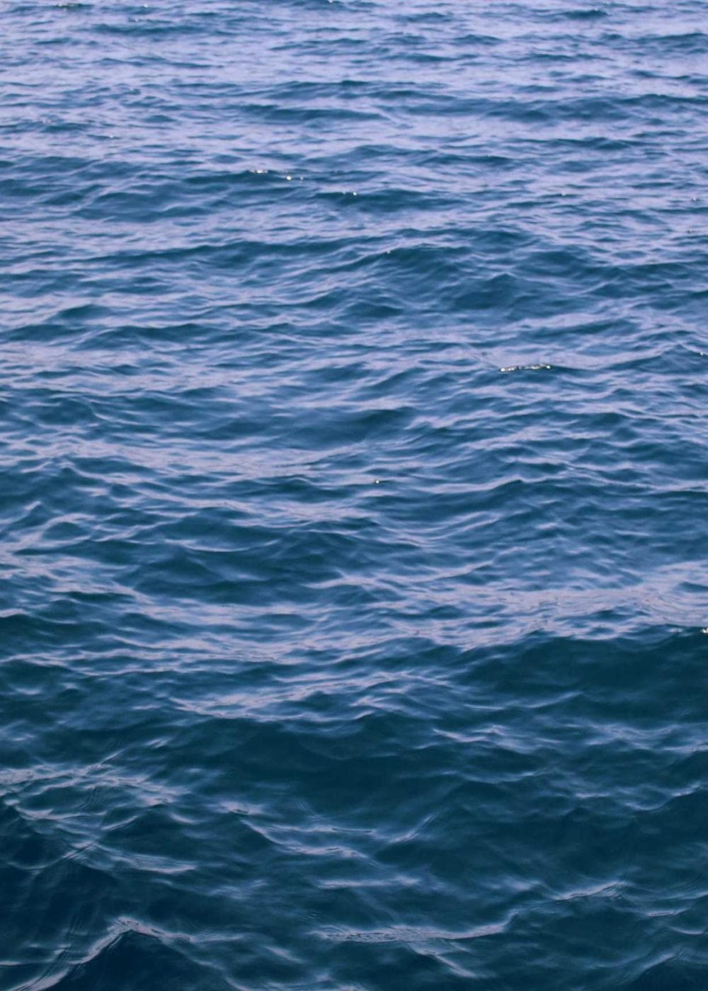 Sample Gallery 1 – image 3