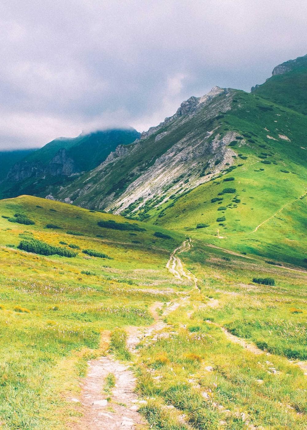 Sample Gallery 1 – image 5