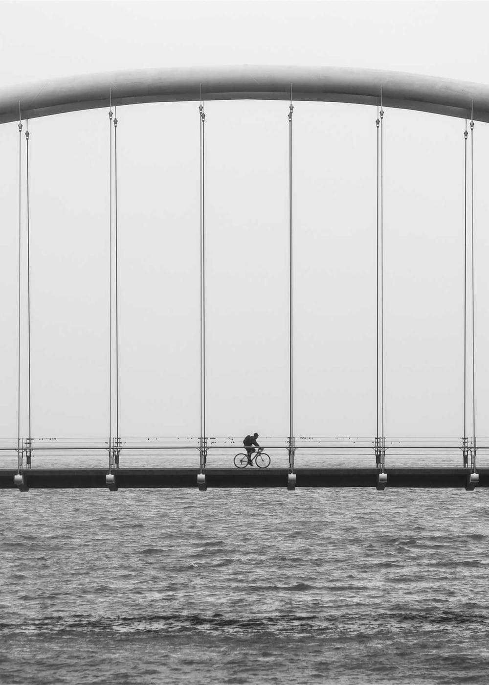 Sample Gallery 1 – image 8