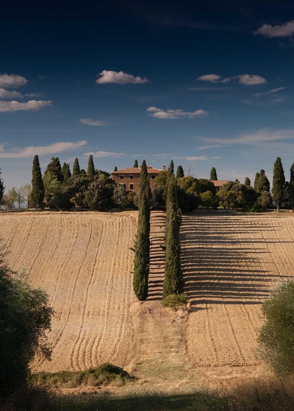 Sample Gallery 10 – image 1