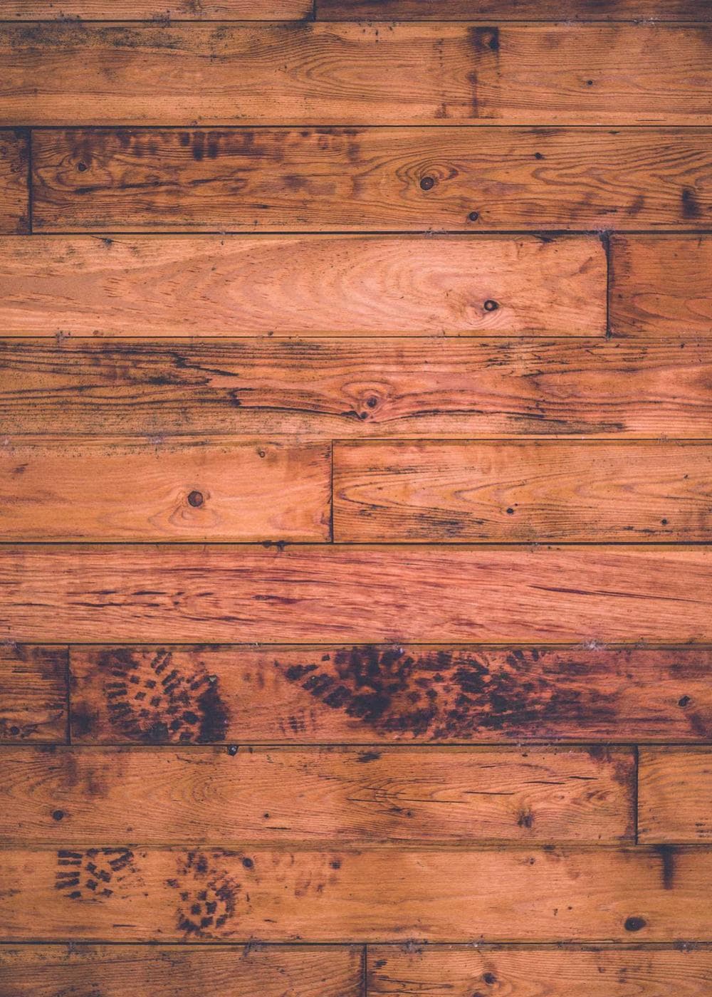 Sample Gallery 10 – image 6