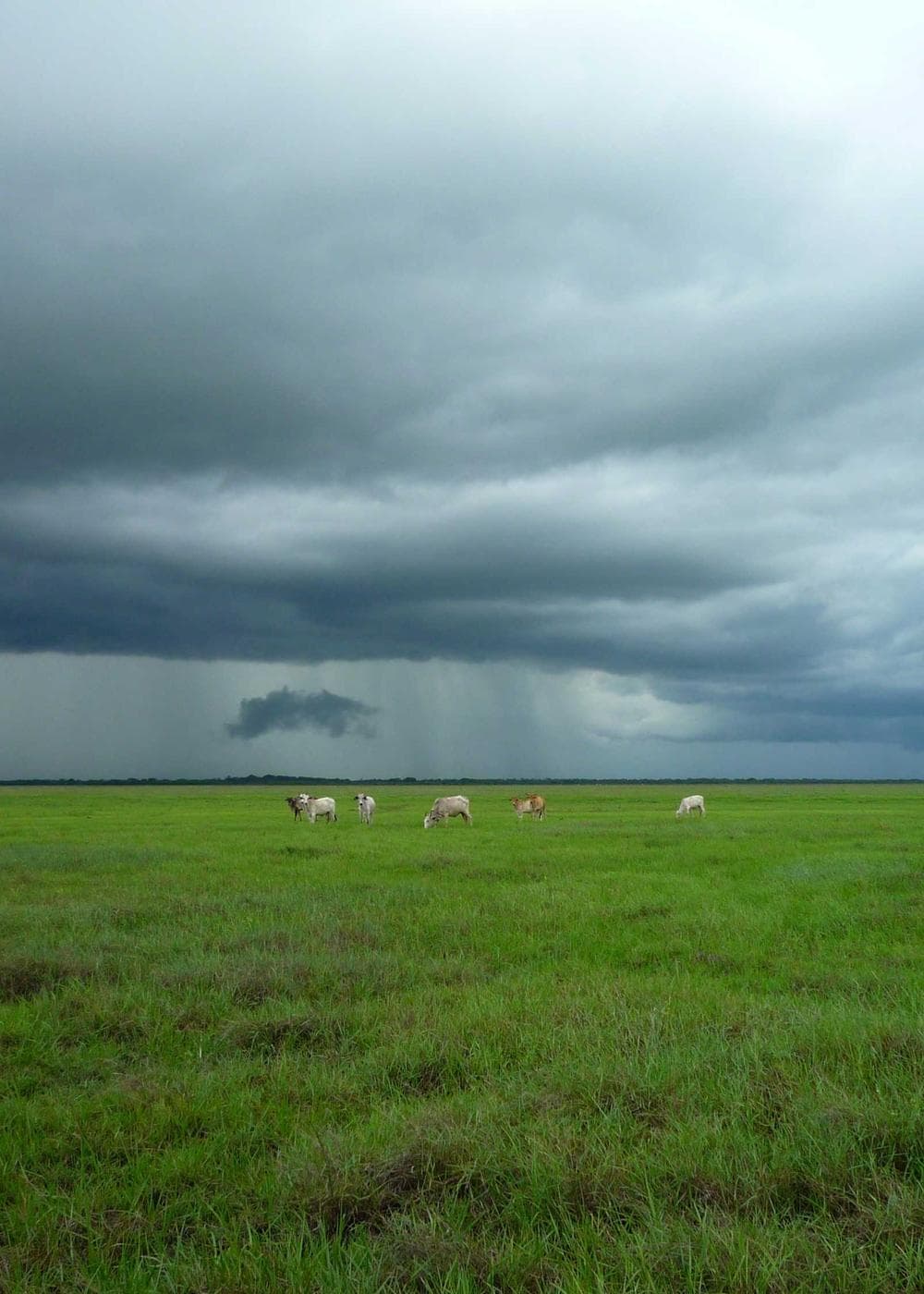 Sample Gallery 10 – image 8