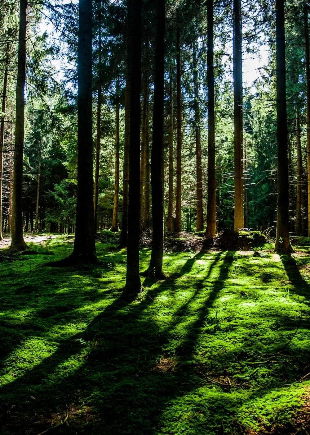 Sample Gallery 11 – image 3