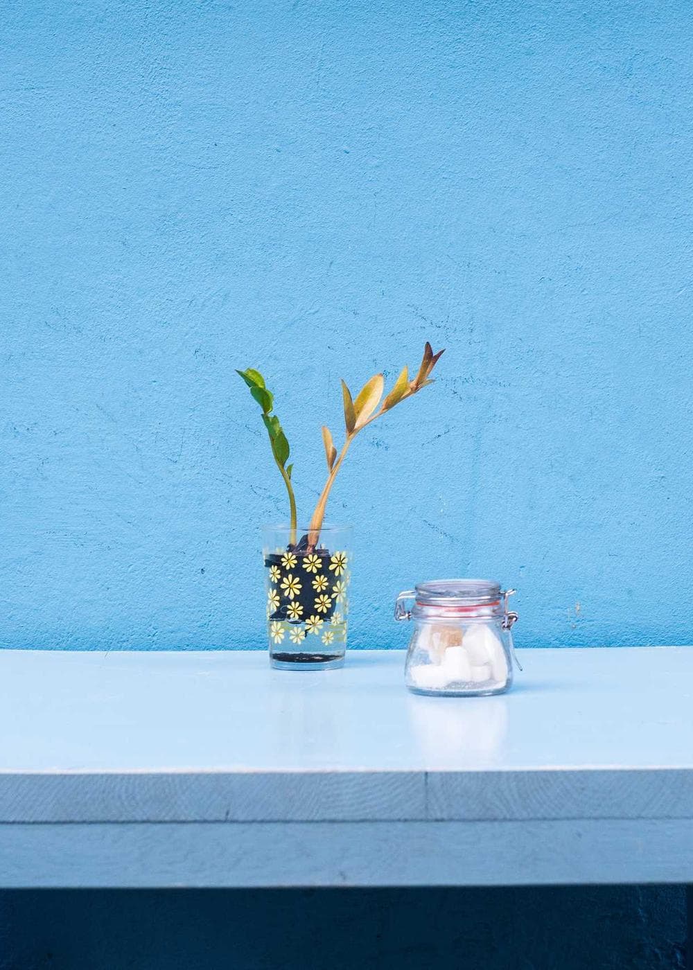 Sample Gallery 12 – image 3