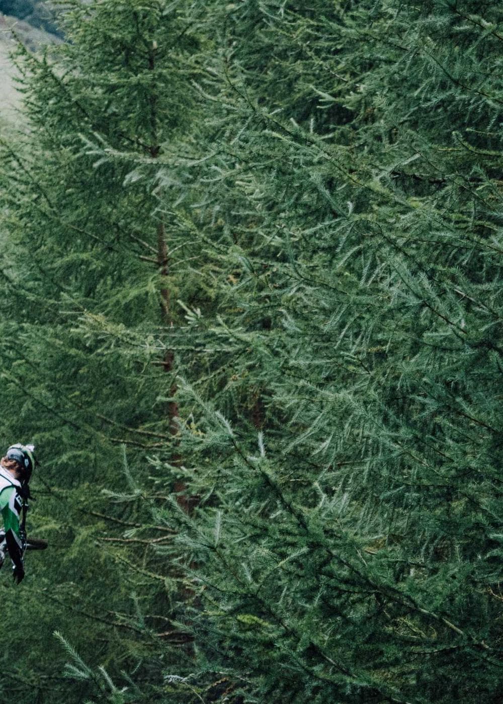 Sample Gallery 12 – image 6