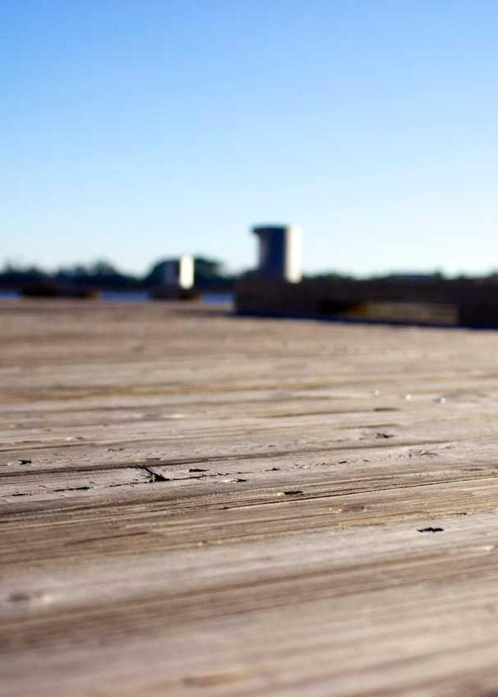 Sample Gallery 12 – image 7