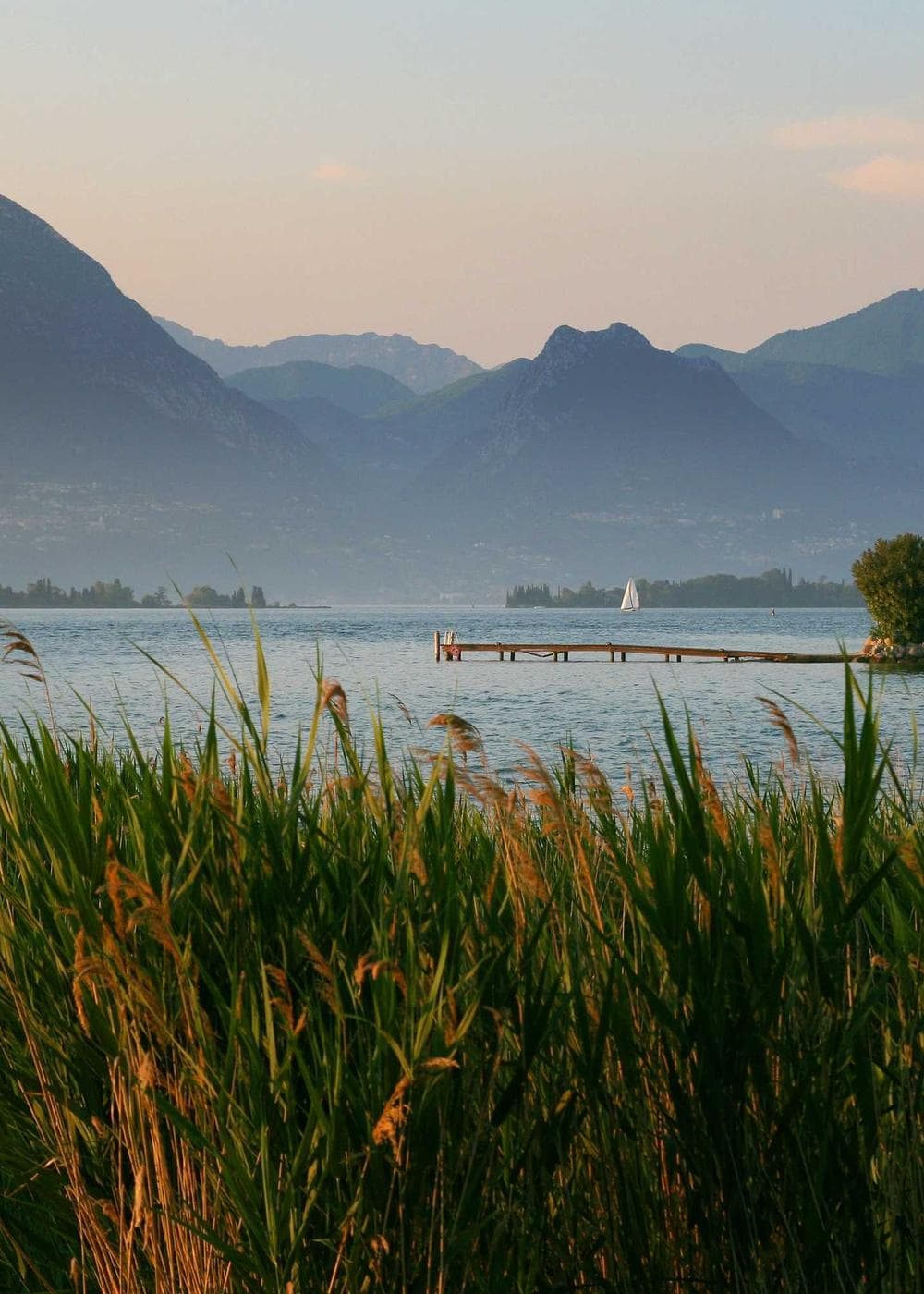 Sample Gallery 12 – image 8