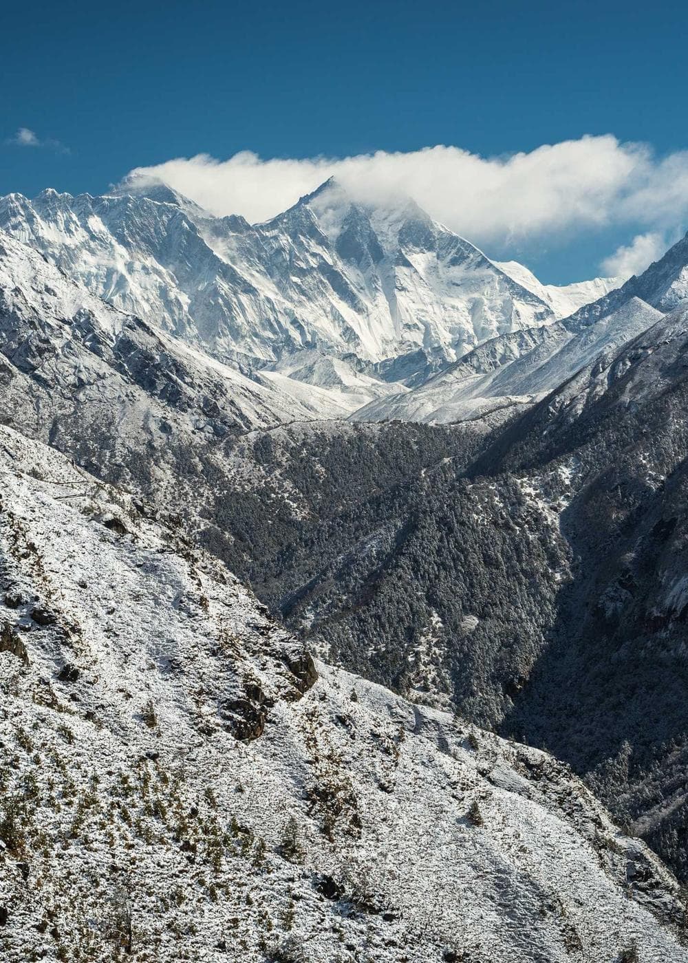 Sample Gallery 13 – image 2