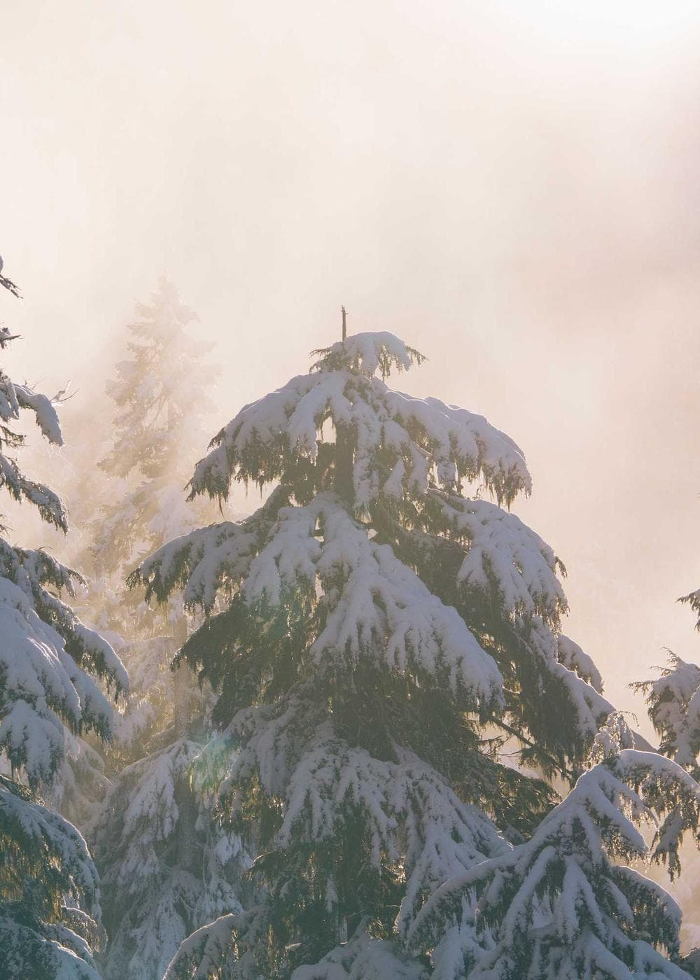 Sample Gallery 13 – image 4