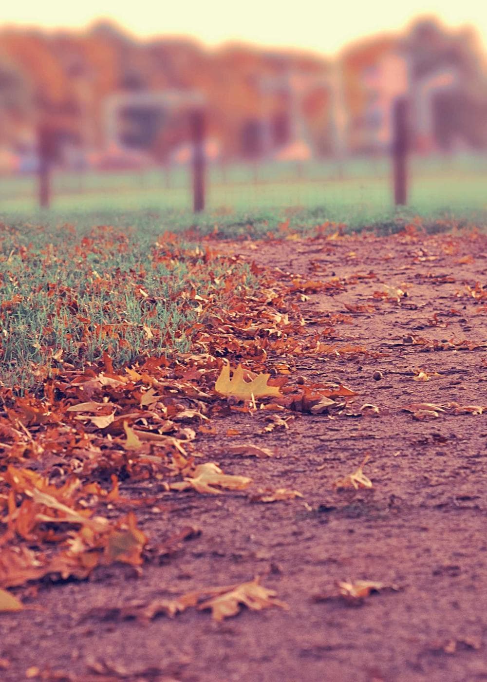 Sample Gallery 13 – image 5