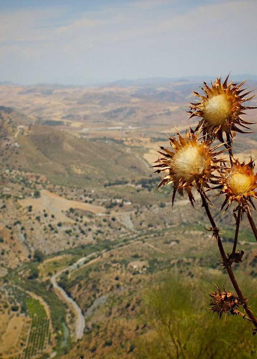 Sample Gallery 13 – image 6