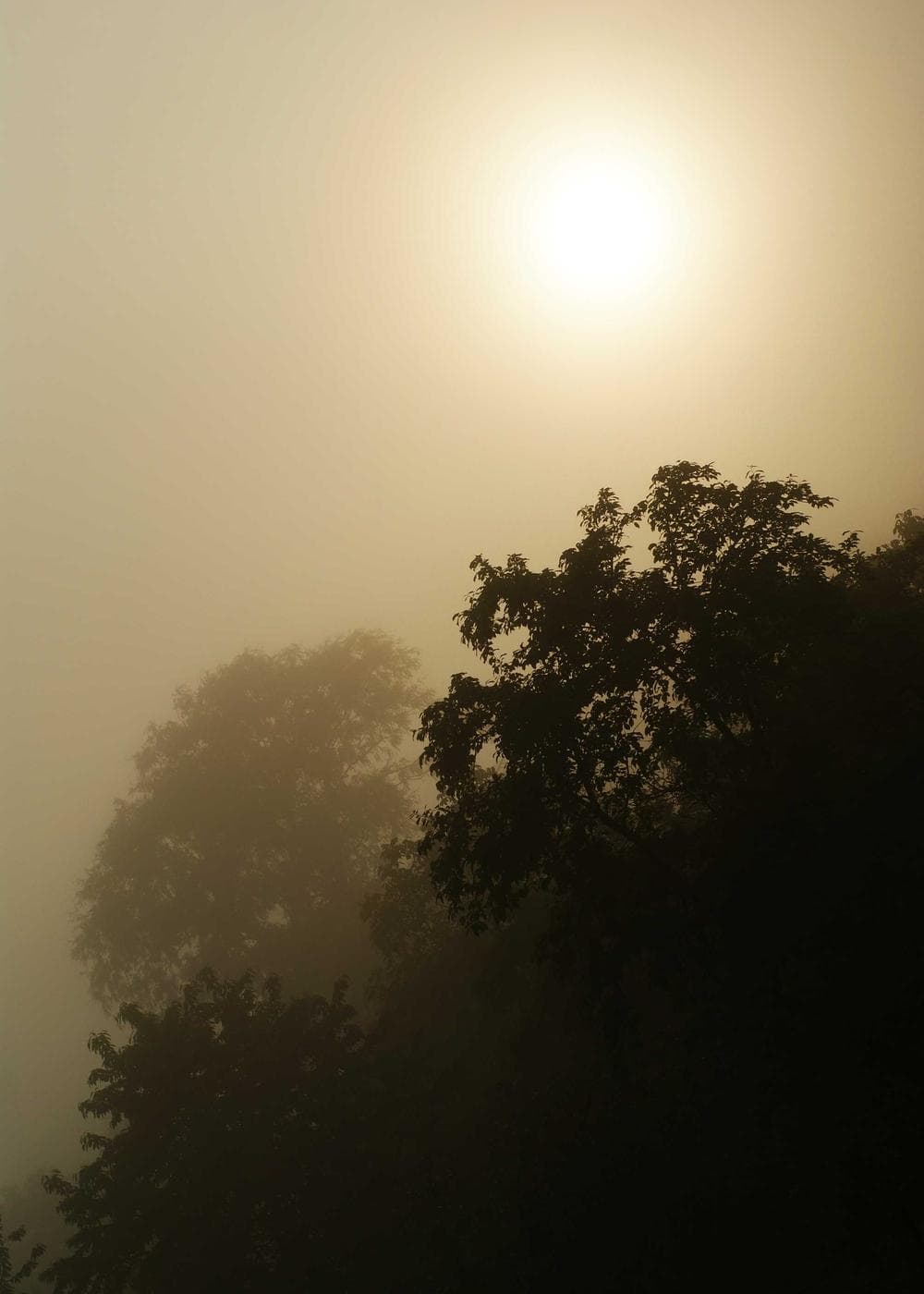 Sample Gallery 14 – image 1