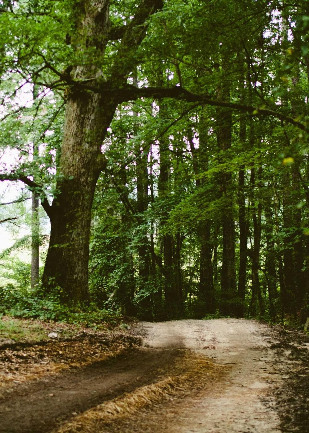 Sample Gallery 14 – image 3