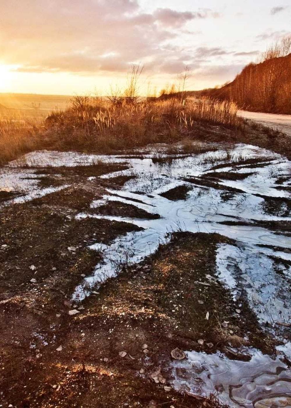 Sample Gallery 14 – image 8