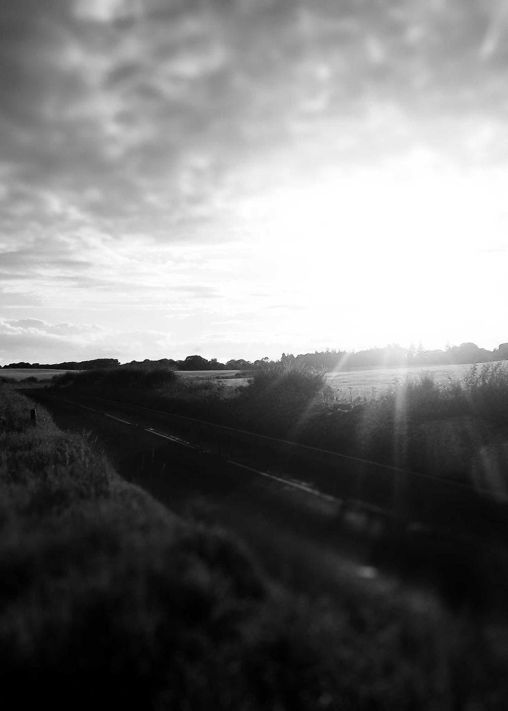 Sample Gallery 15 – image 8