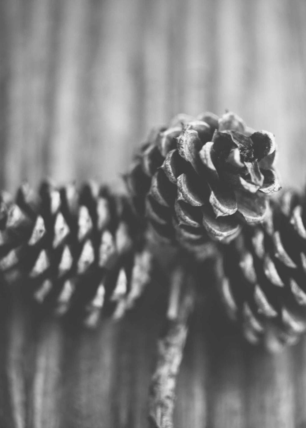 Sample Gallery 16 – image 1