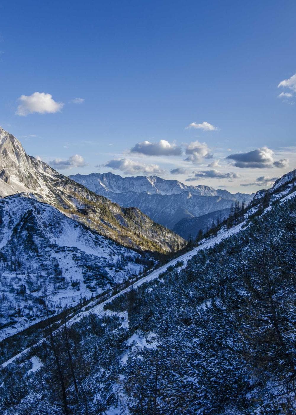 Sample Gallery 16 – image 2