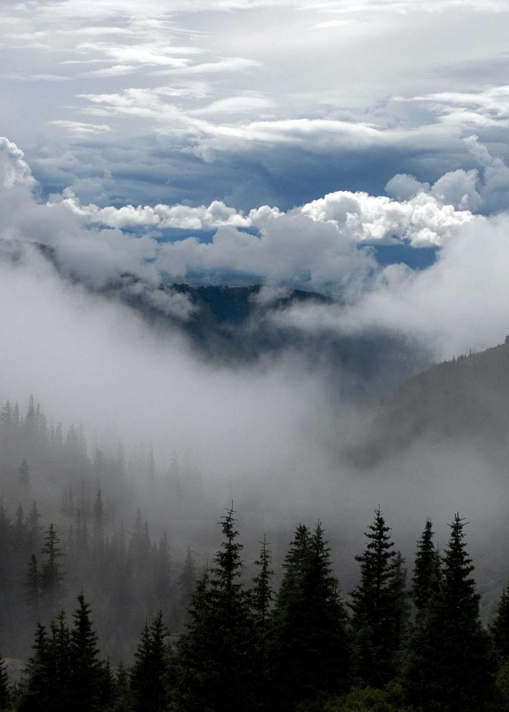 Sample Gallery 16 – image 6