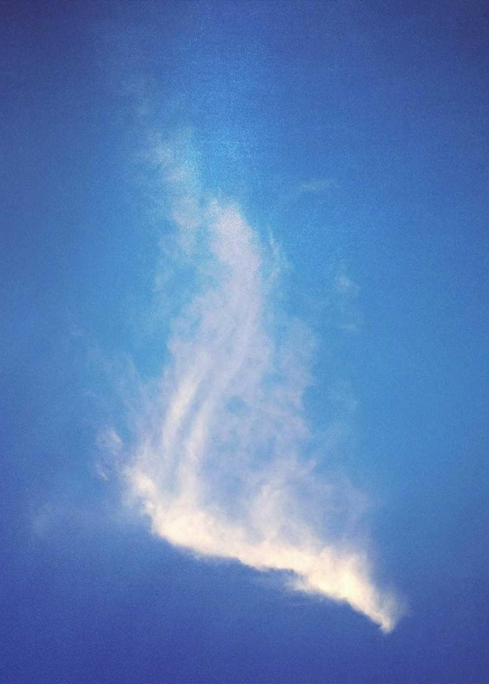 Sample Gallery 16 – image 7