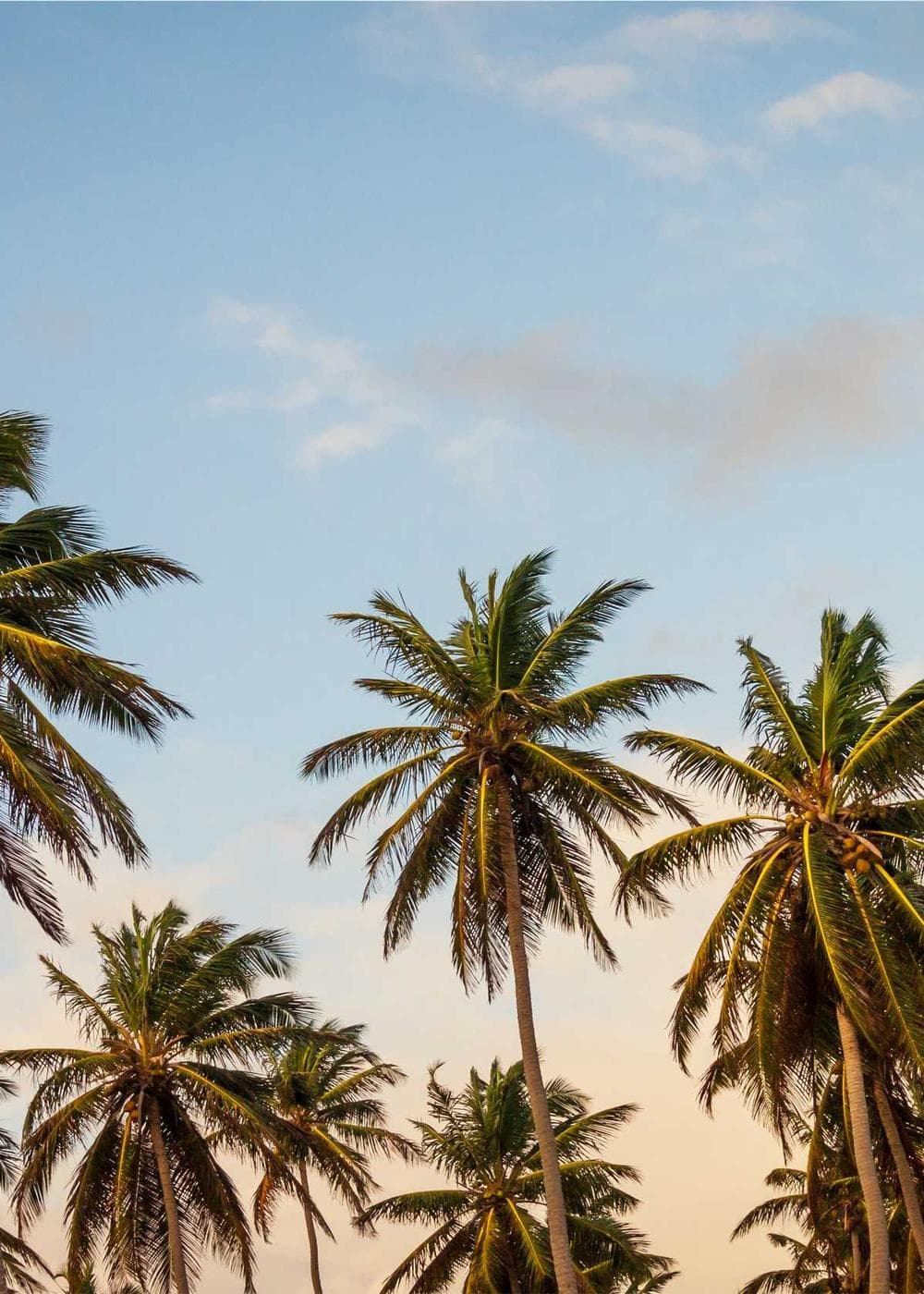 Sample Gallery 17 – image 1