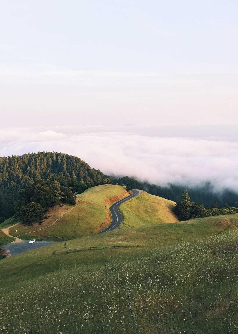 Sample Gallery 17 – image 3