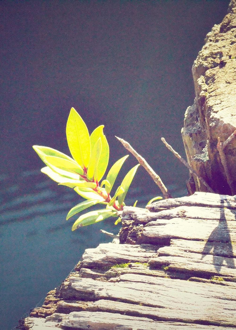 Sample Gallery 17 – image 6