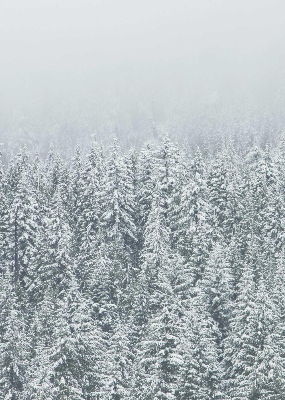 Sample Gallery 18 – image 1