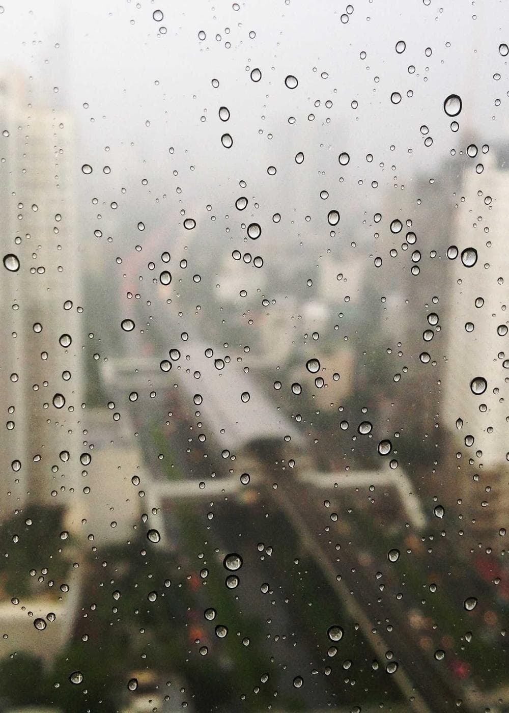 Sample Gallery 18 – image 4