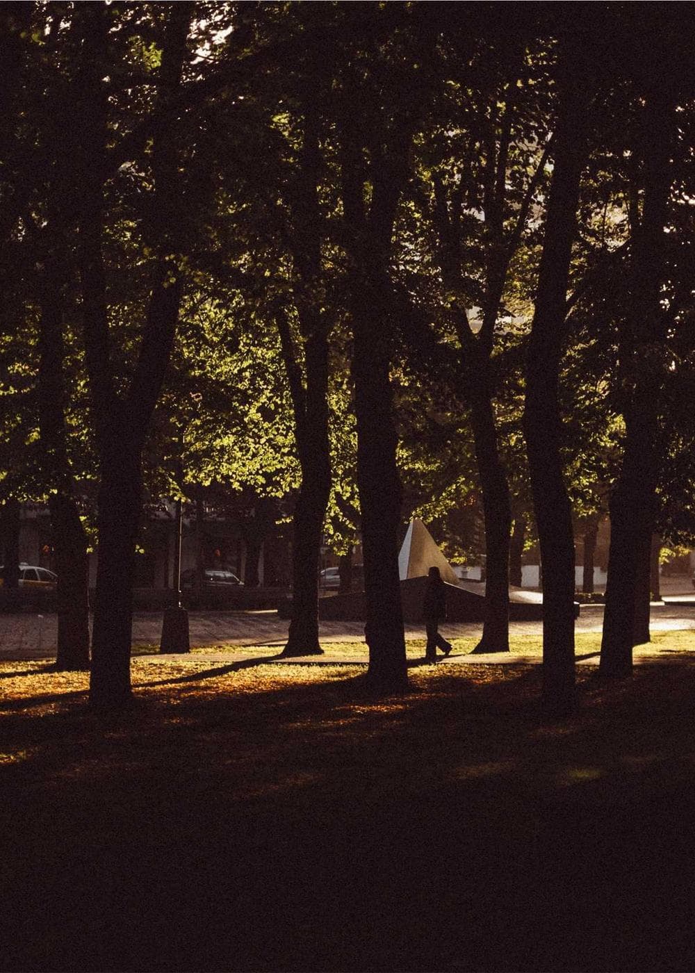 Sample Gallery 18 – image 5