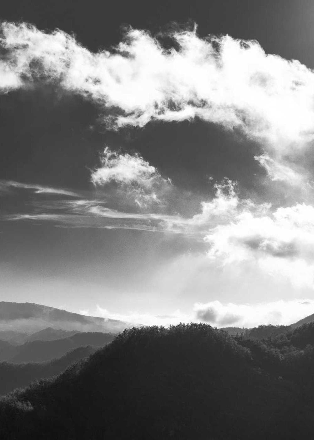 Sample Gallery 18 – image 7