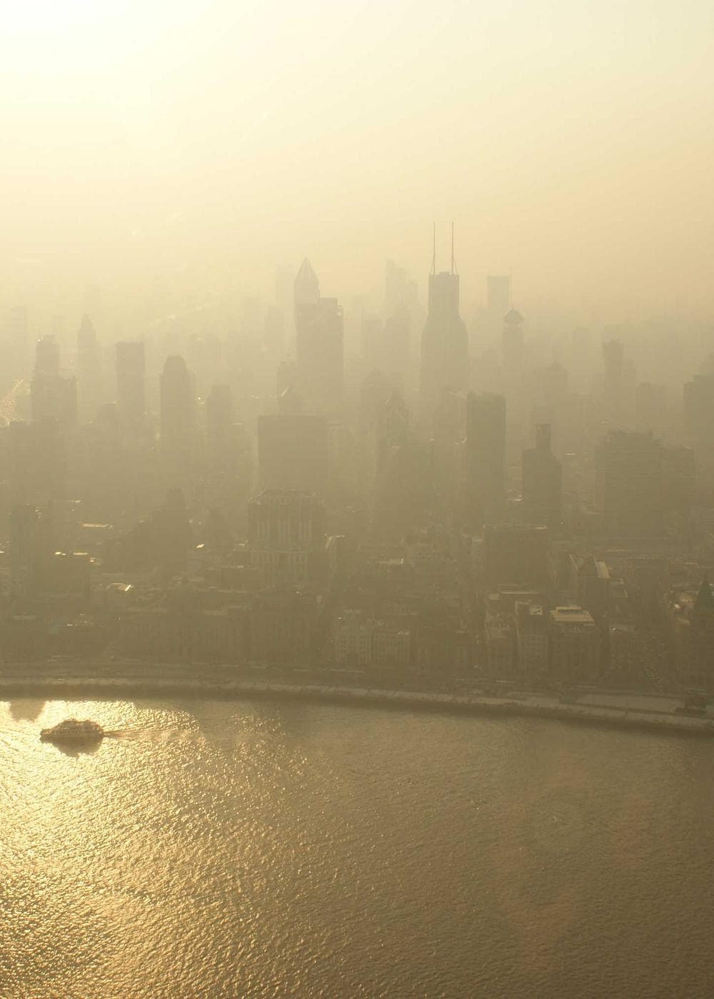 Sample Gallery 19 – image 4