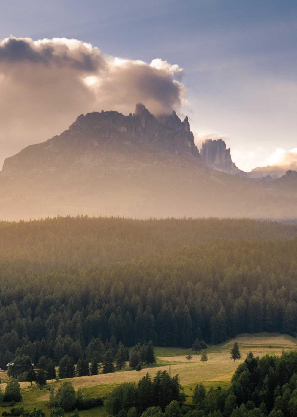 Sample Gallery 19 – image 6