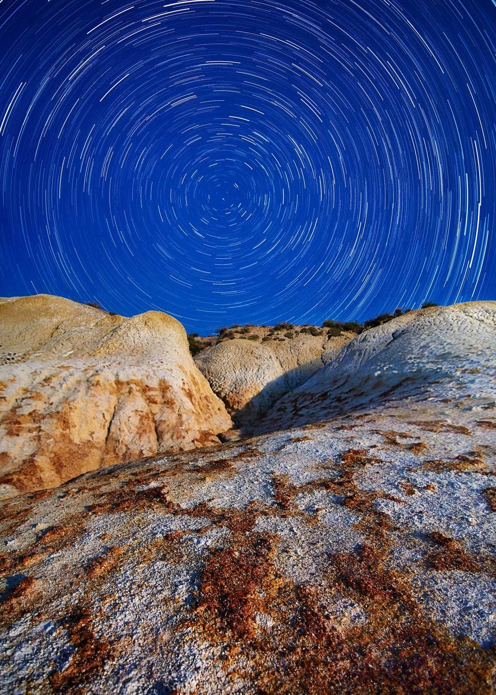 Sample Gallery 2 – image 7