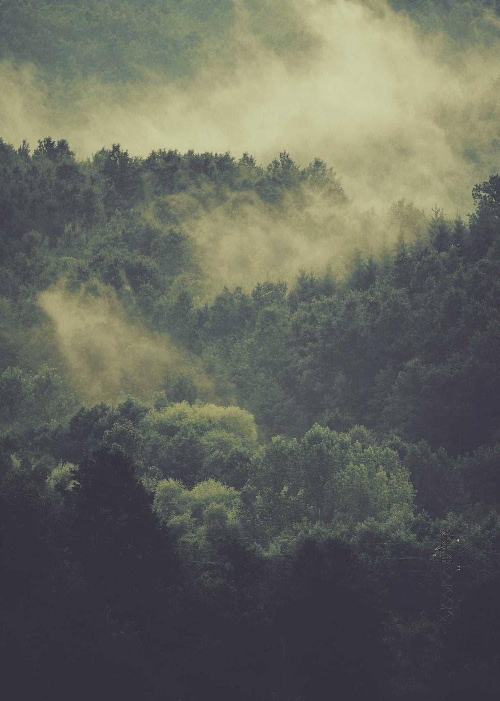 Sample Gallery 20 – image 2