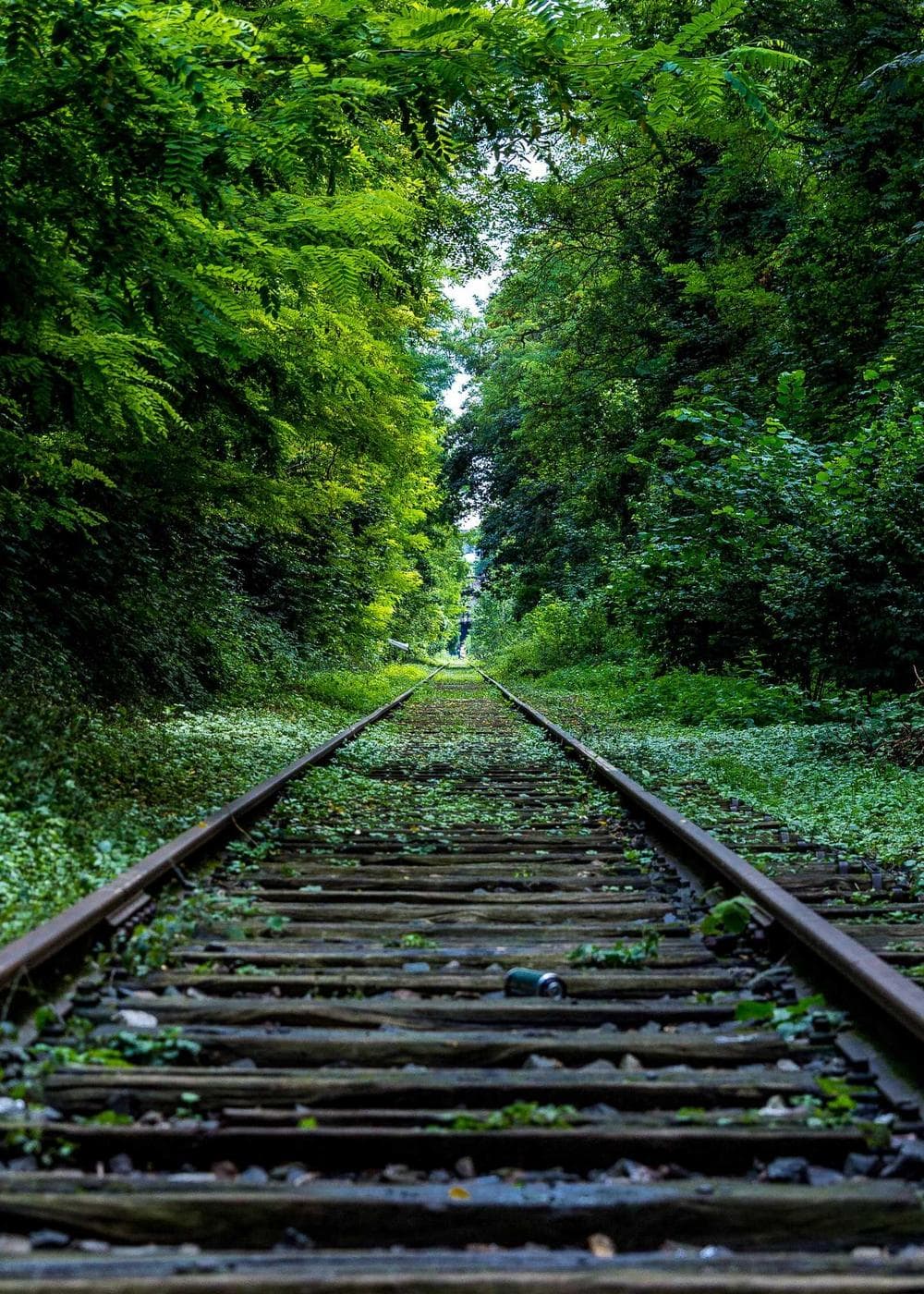 Sample Gallery 20 – image 3