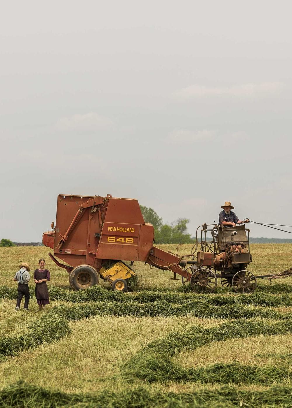 Sample Gallery 20 – image 8