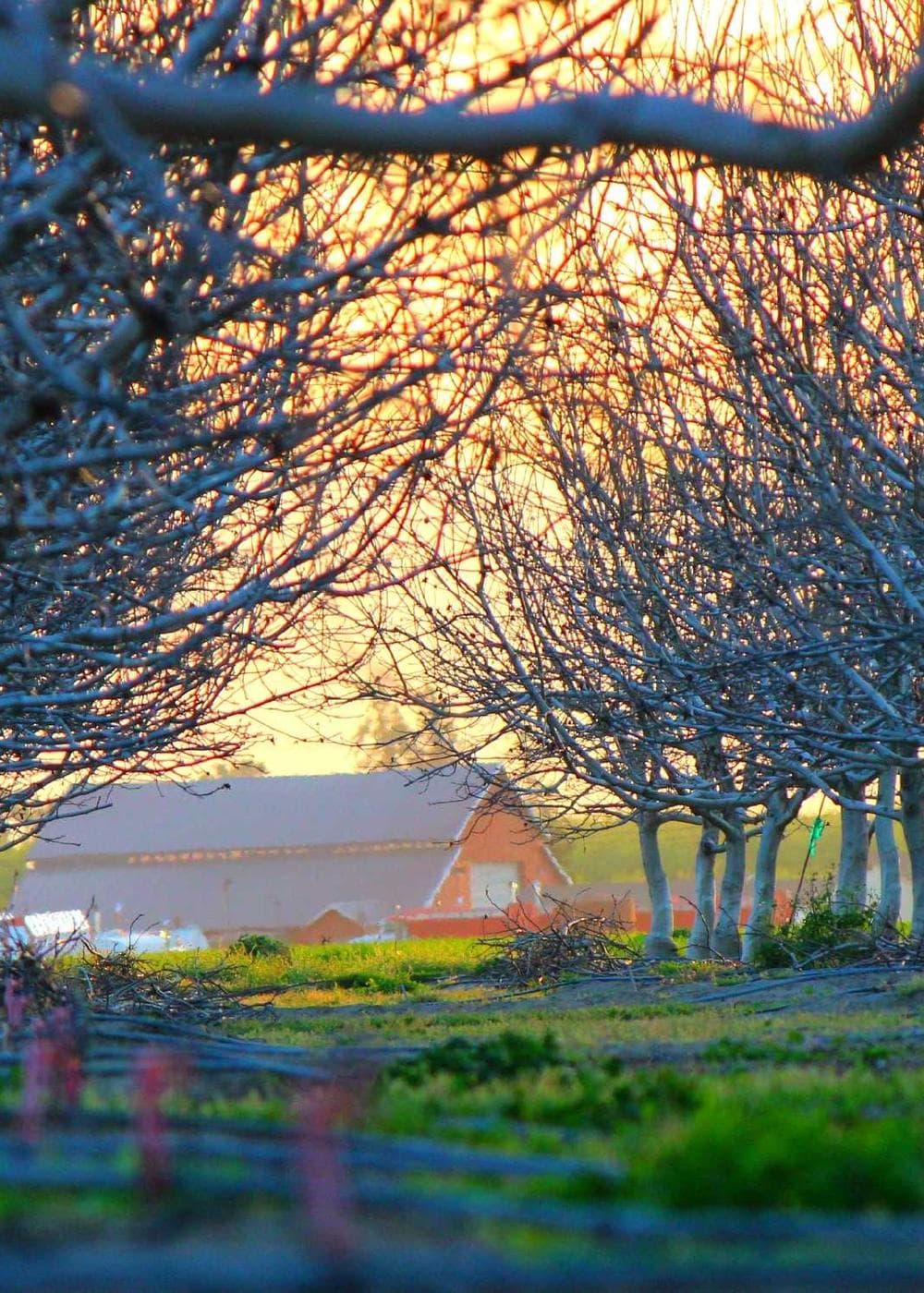 Sample Gallery 21 – image 1