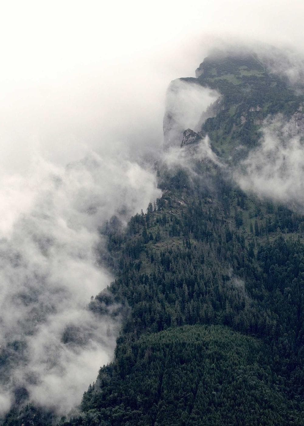 Sample Gallery 21 – image 4