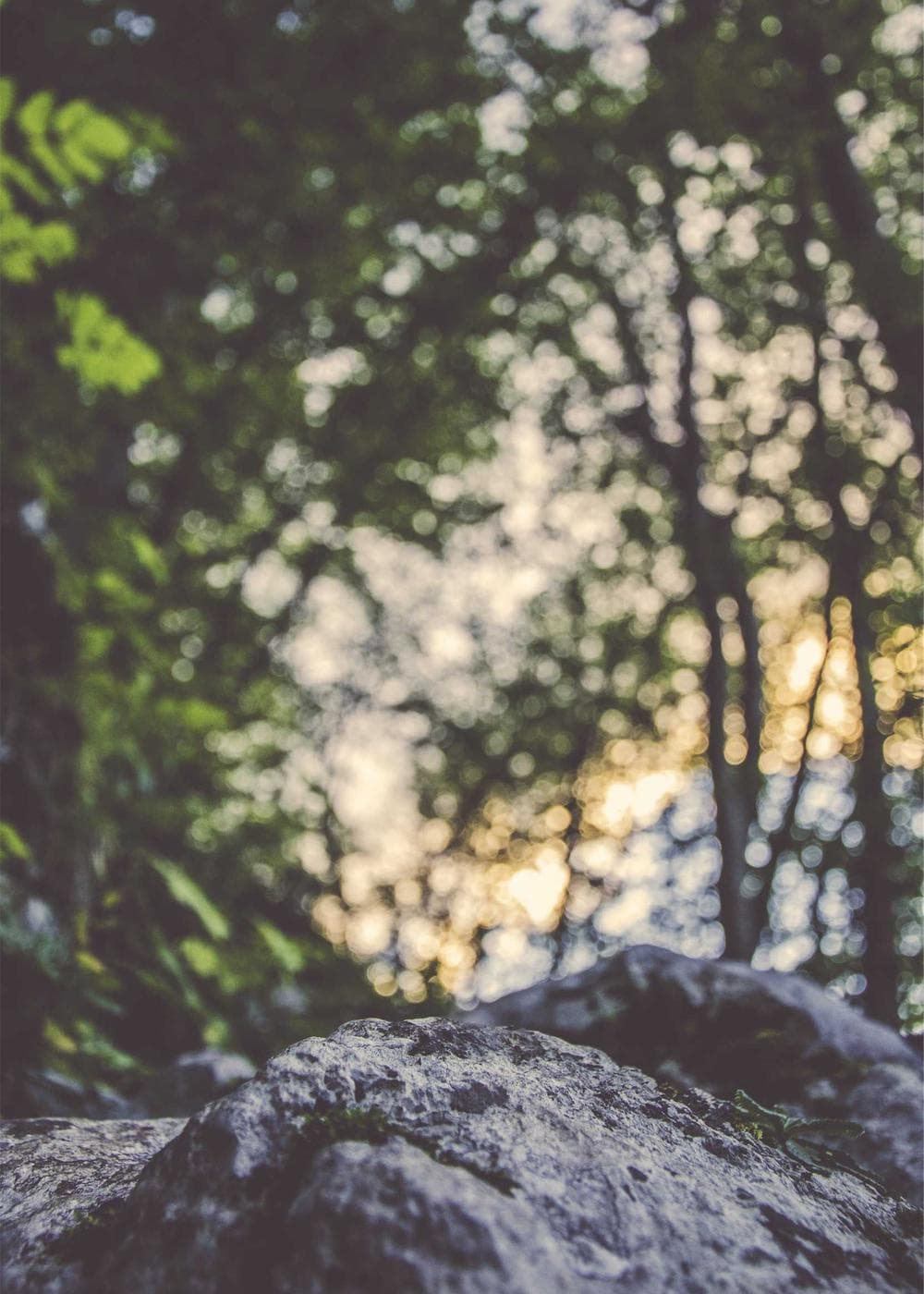 Sample Gallery 21 – image 7