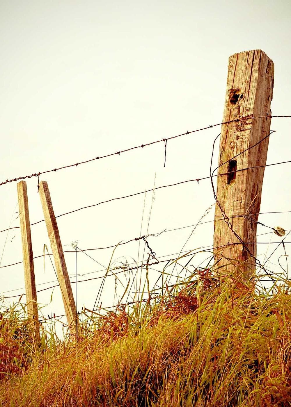 Sample Gallery 22 – image 4