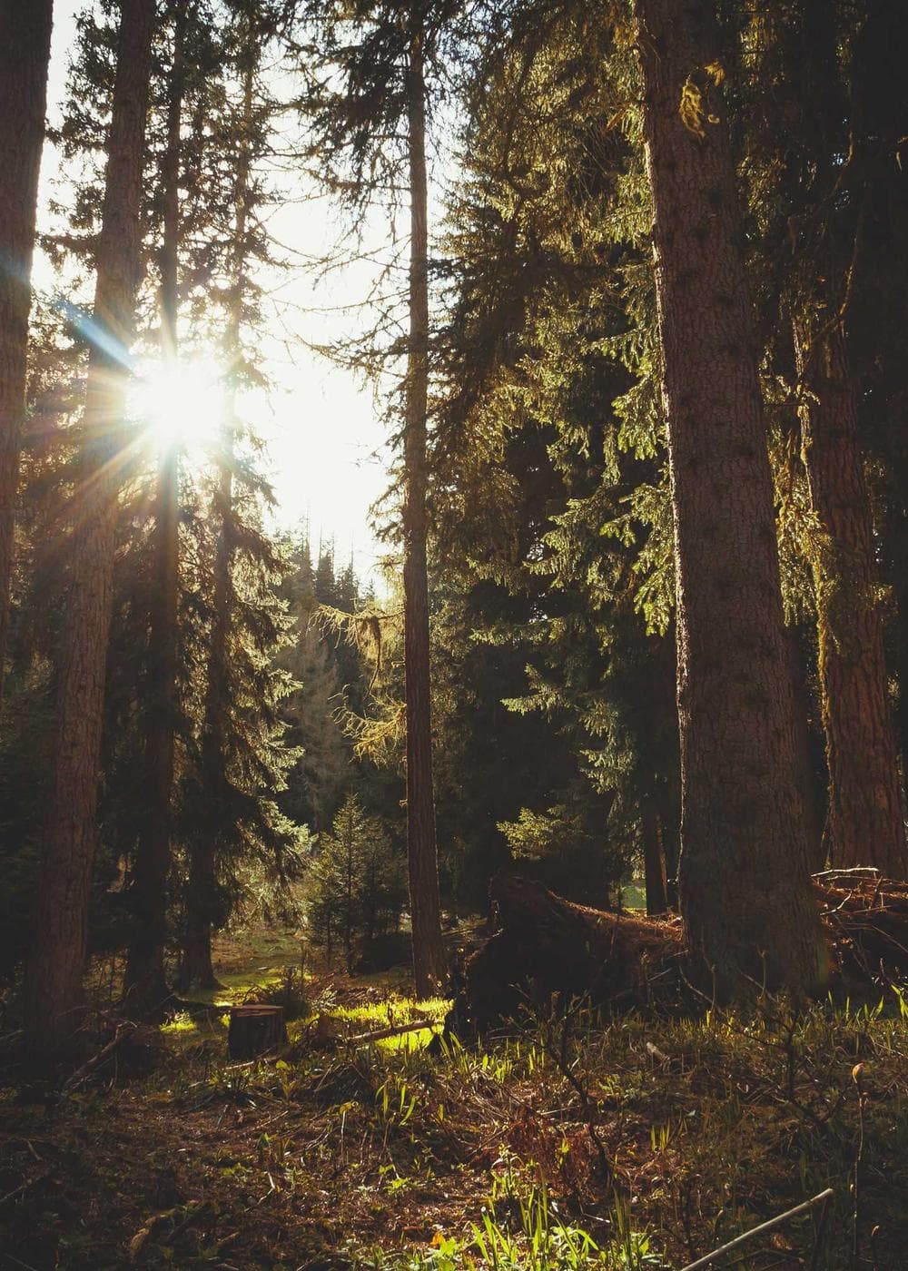 Sample Gallery 22 – image 8