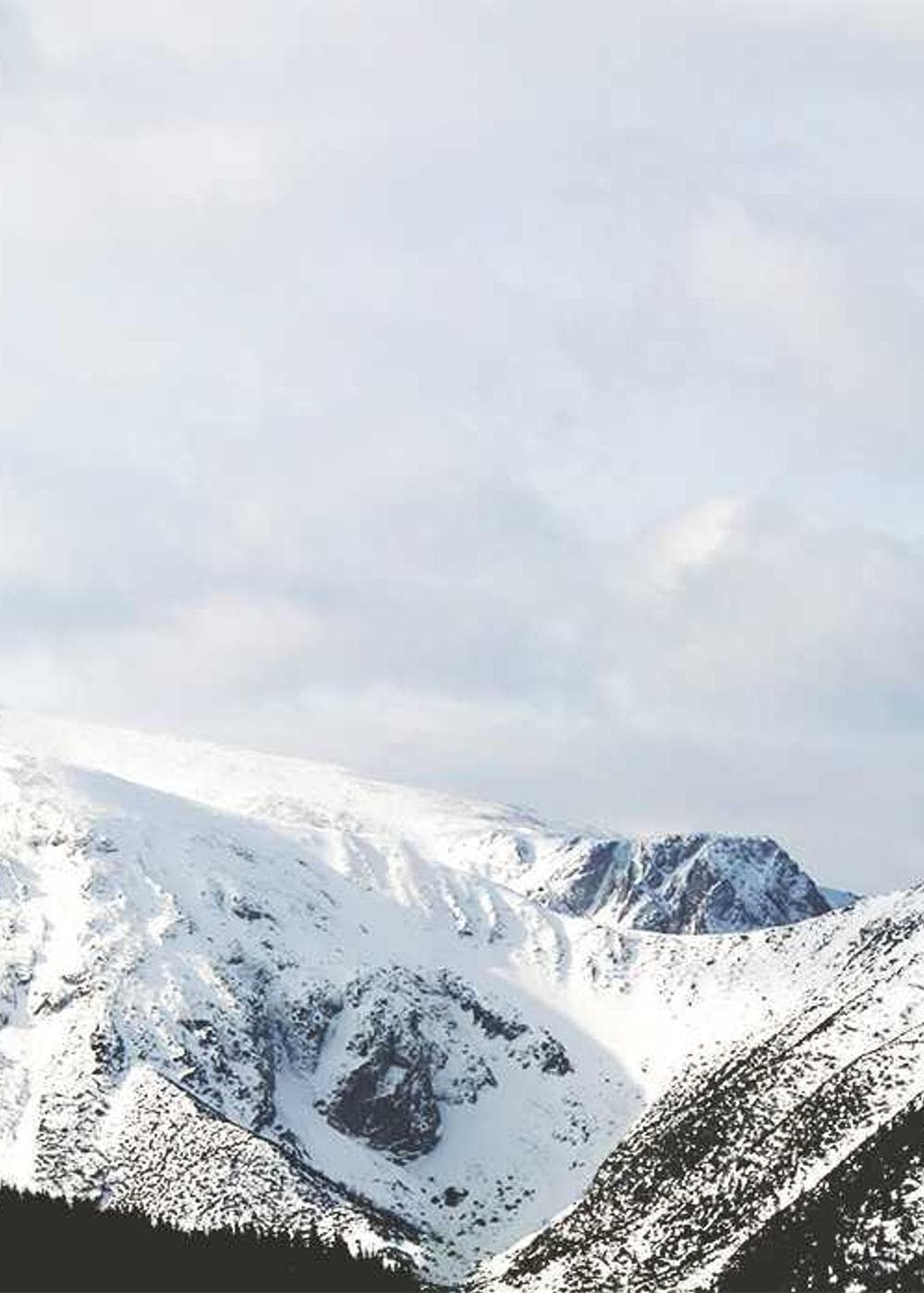 Sample Gallery 23 – image 2