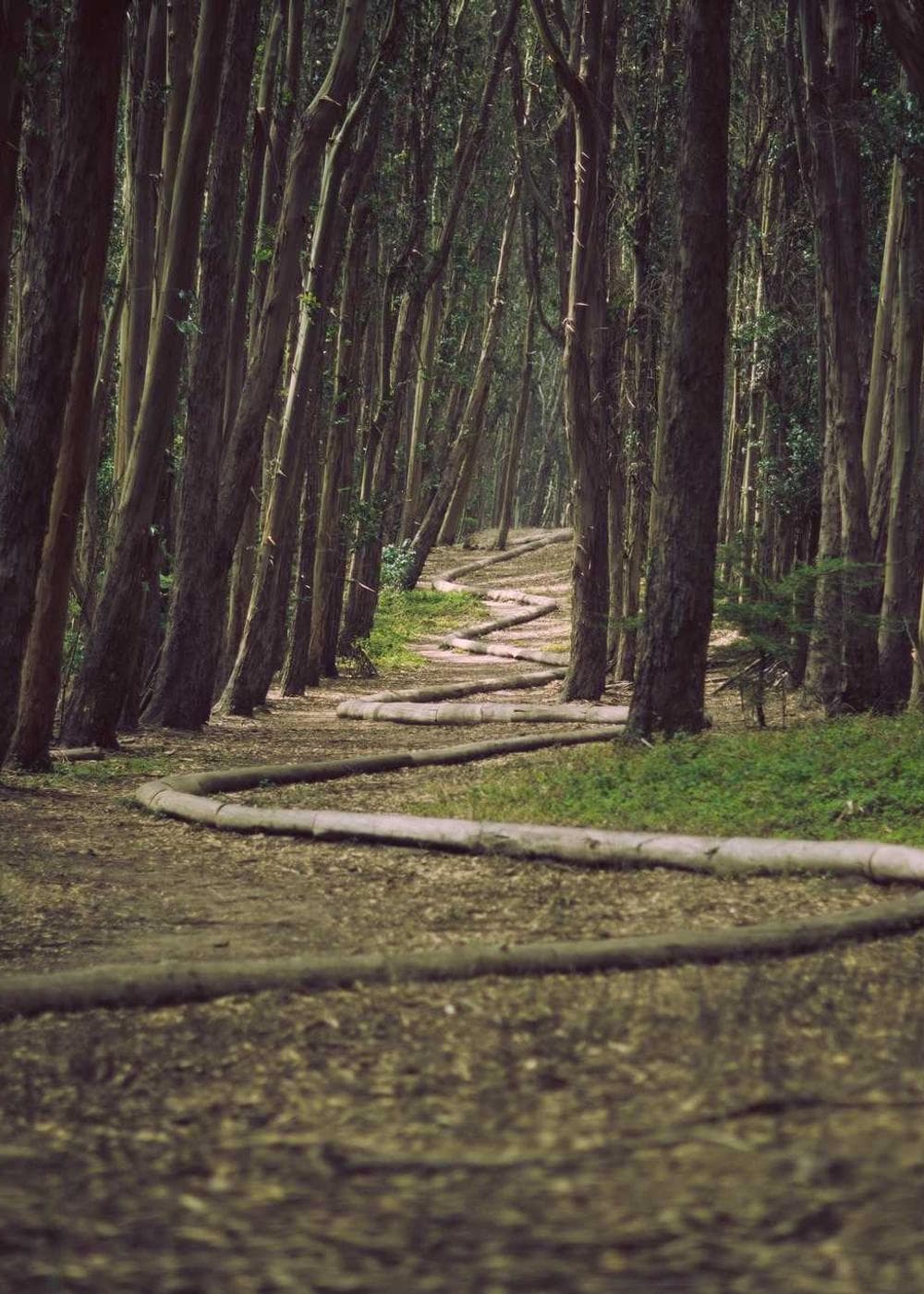 Sample Gallery 23 – image 4