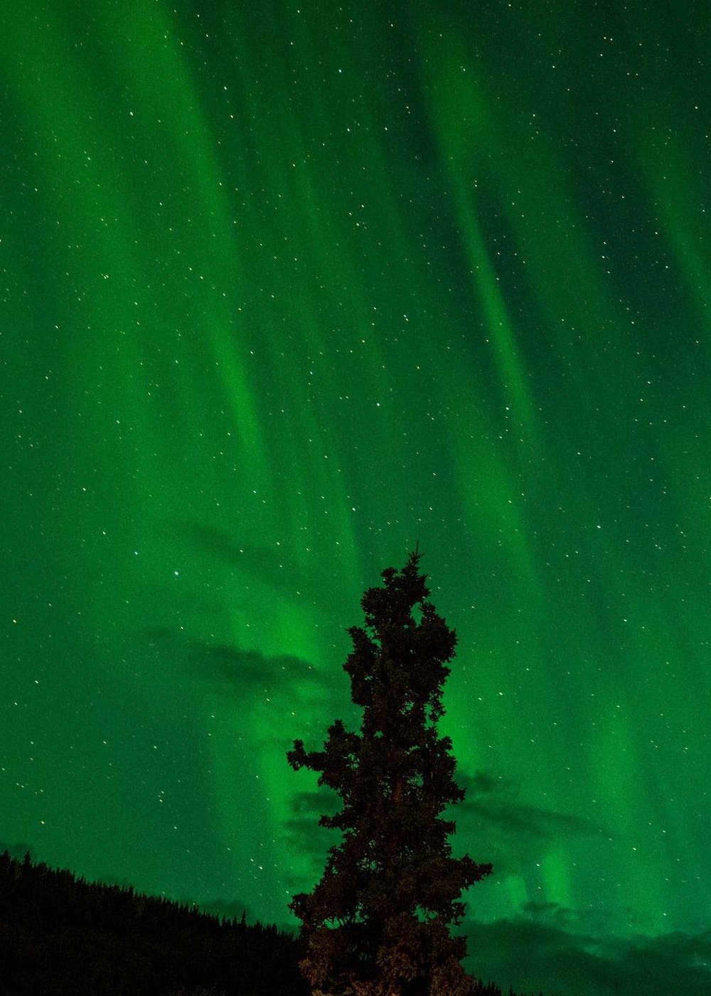 Sample Gallery 24 – image 1