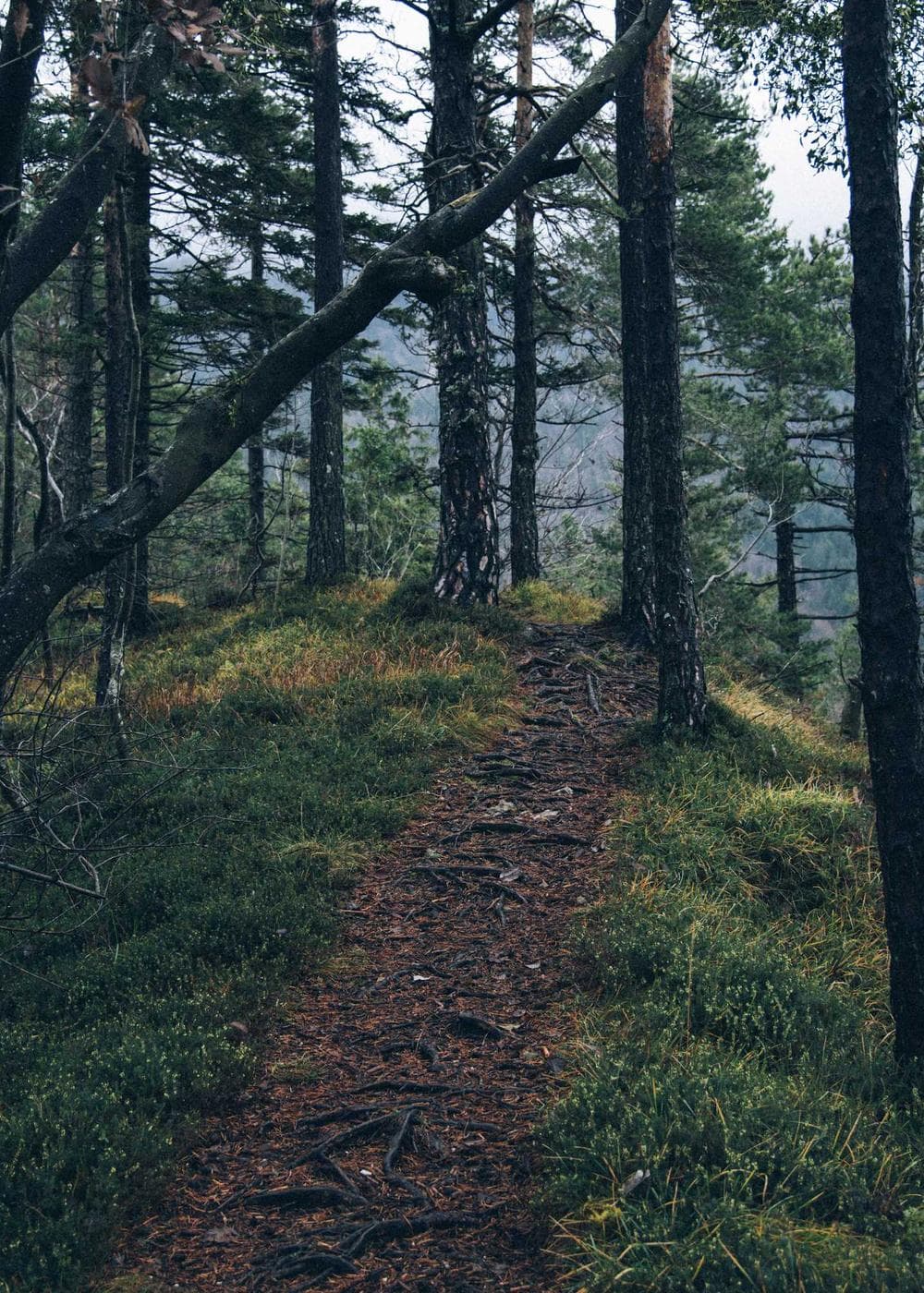 Sample Gallery 24 – image 5