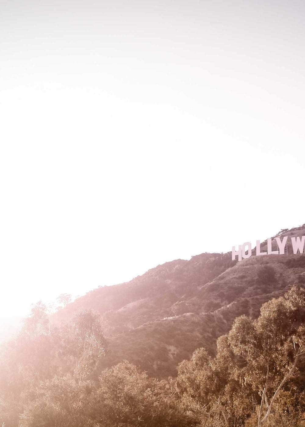 Sample Gallery 24 – image 7