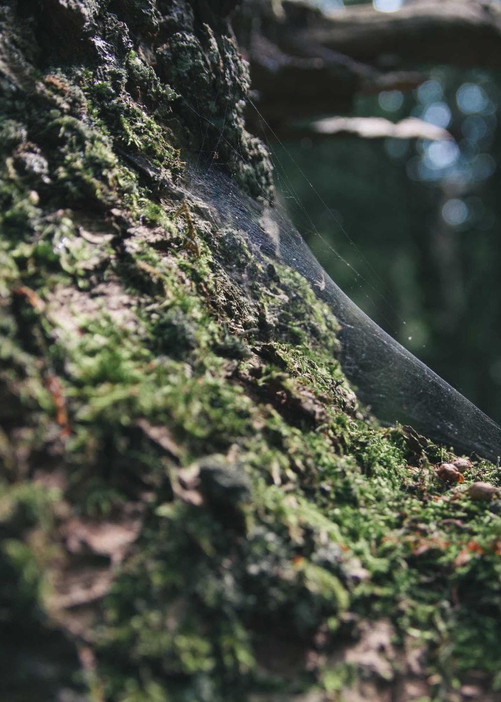 Sample Gallery 24 – image 8