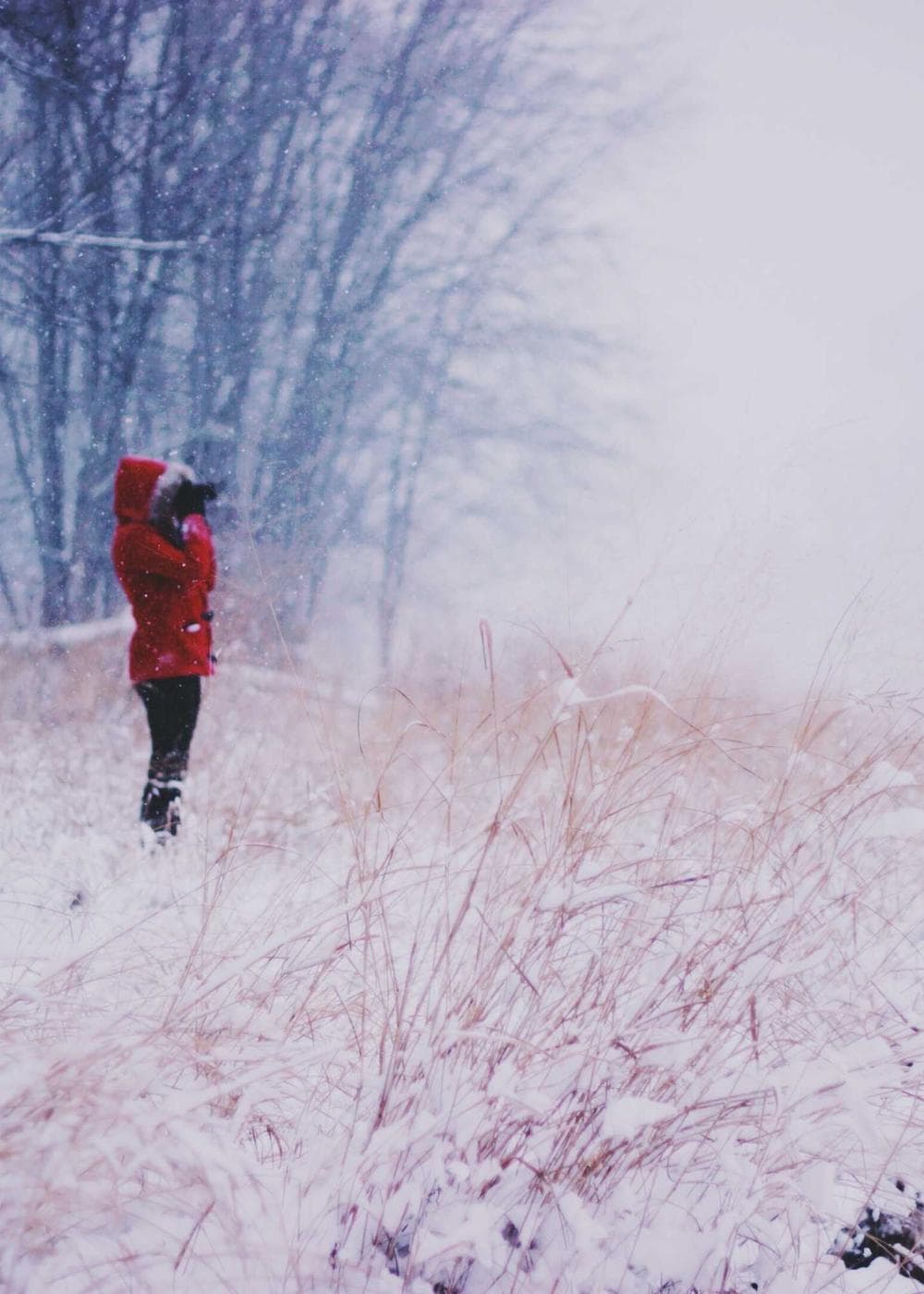 Sample Gallery 3 – image 4