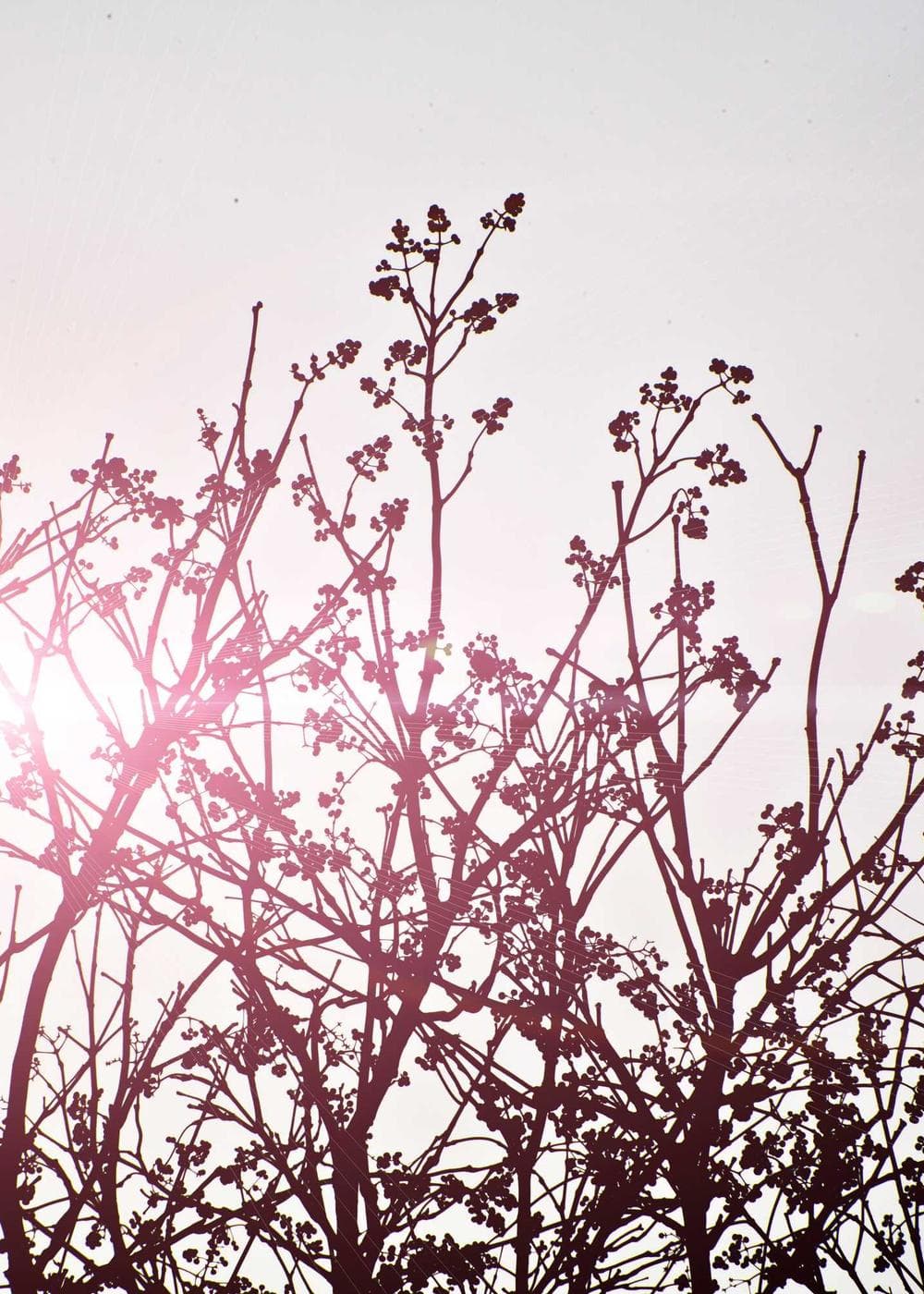 Sample Gallery 3 – image 6